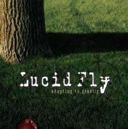 Lucid Fly : Adapting to Gravity